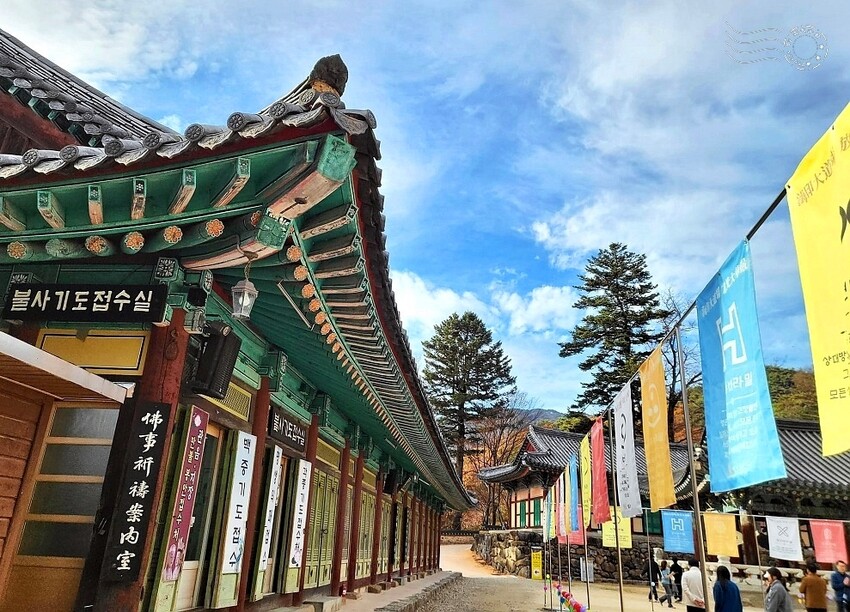 【伽倻山海印寺】 【伽倻山海印寺】