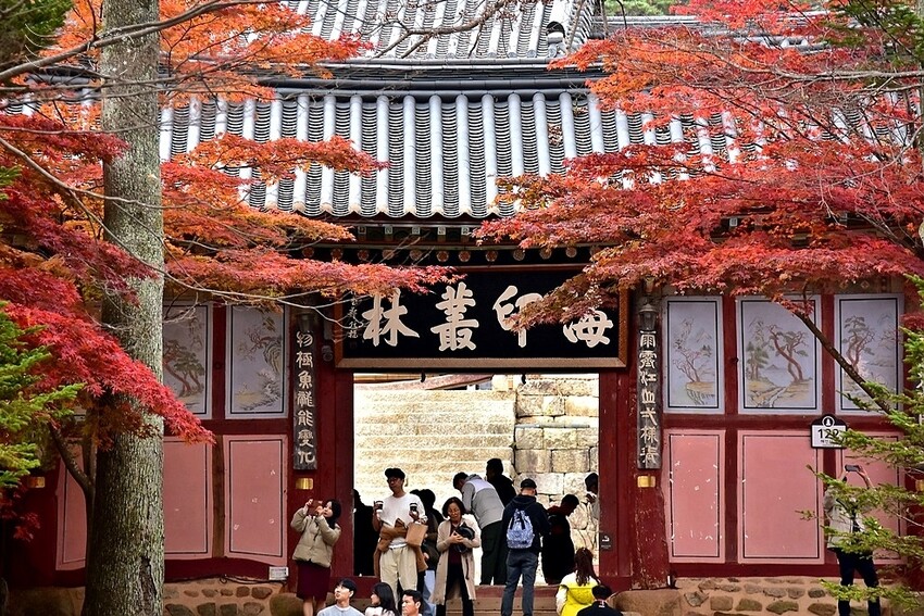 【伽倻山海印寺】 【伽倻山海印寺】