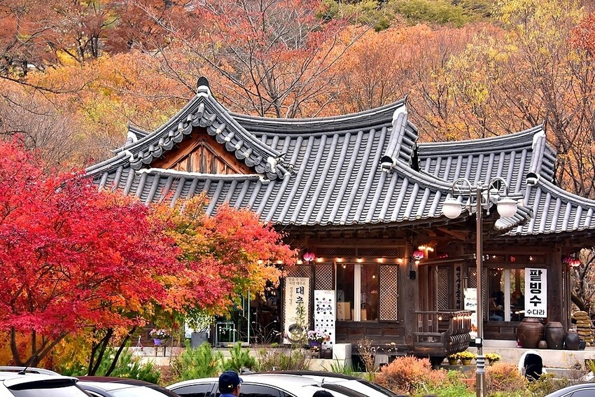 【伽倻山海印寺】楓紅 【伽倻山海印寺】楓紅