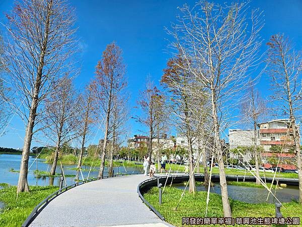 華興池生態埤塘公園12-秋日廣場.jpg