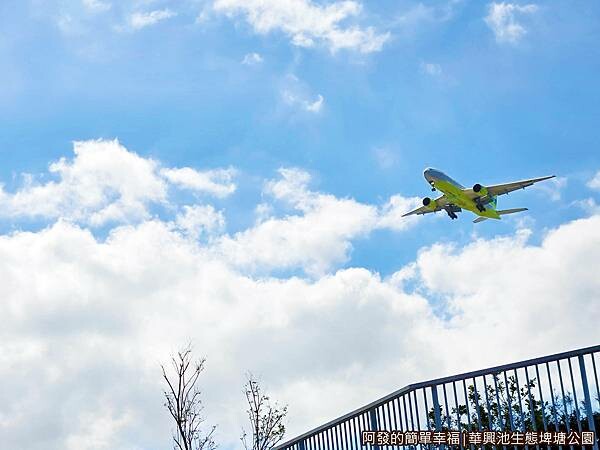 華興池生態埤塘公園03-飛機低空而過.jpg