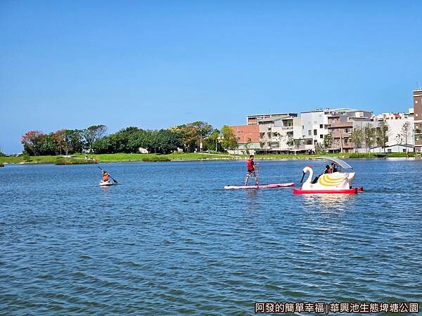 華興池生態埤塘公園13-SUP立式划槳與天鵝船.jpg