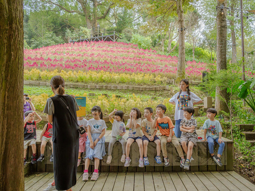 DSC01652-已增強-雜訊減少 DSC01652-已增強-雜訊減少