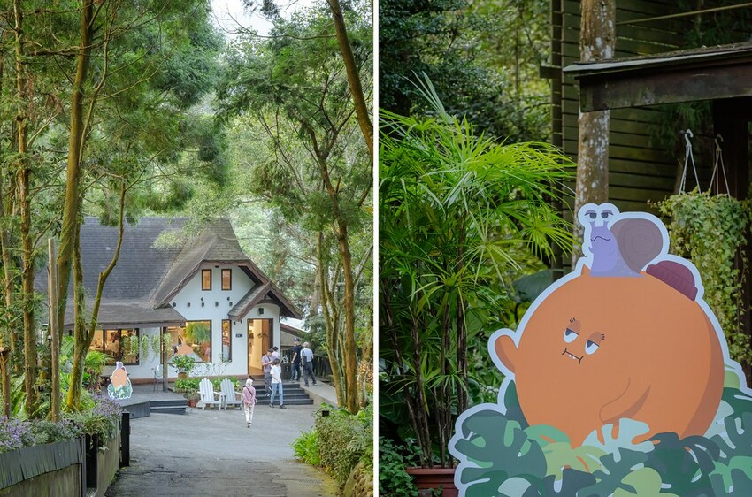 DSC01754-side DSC01754-side