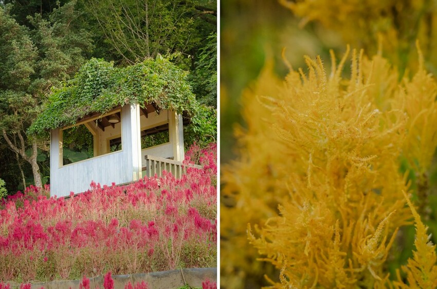 DSC01691-side DSC01691-side