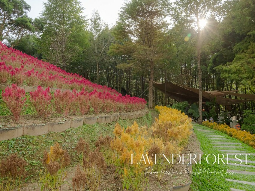 DSC01690 修 DSC01690 修