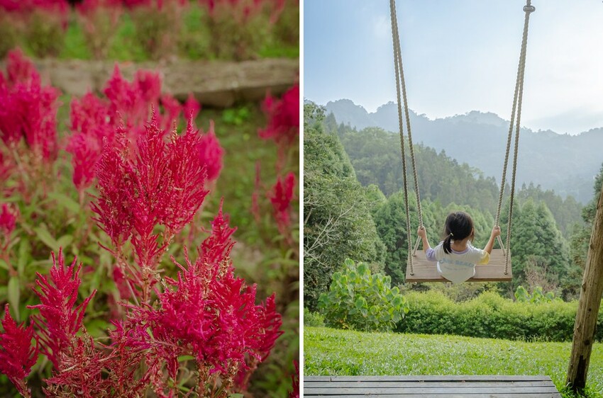 DSC01701-side DSC01701-side