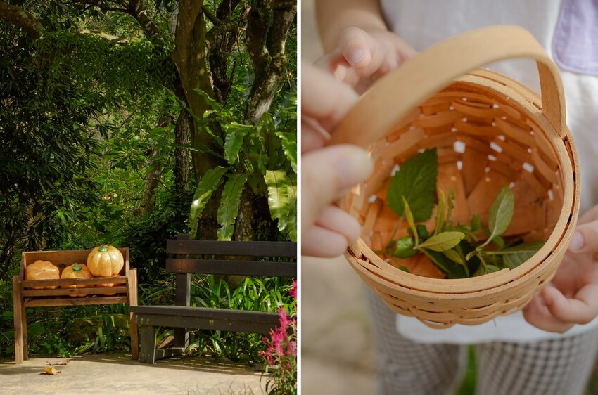 DSC01548-side DSC01548-side