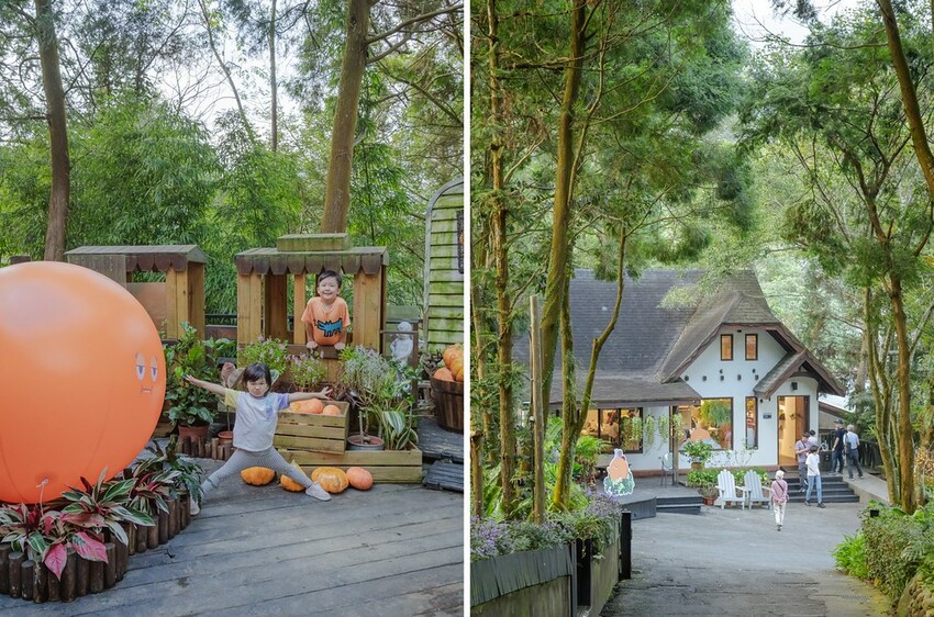 DSC01744-side DSC01744-side