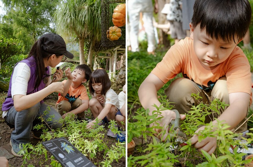 DSC01526-side DSC01526-side