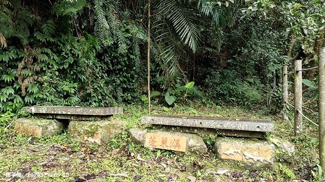 2024苗栗蓬萊溪護魚步道,天涼好個秋踏青趣|南庄老街➯桂花 2024苗栗蓬萊溪護魚步道,天涼好個秋踏青趣|南庄老街➯桂花