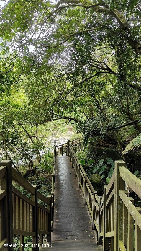 2024苗栗蓬萊溪護魚步道,天涼好個秋踏青趣|南庄老街➯桂花 2024苗栗蓬萊溪護魚步道,天涼好個秋踏青趣|南庄老街➯桂花