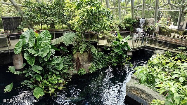 2024臺北市立動物園｜木柵動物園｜Taipei Zoo 臺