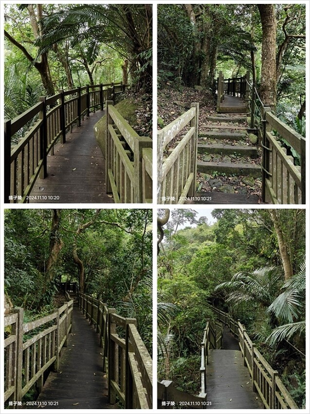 2024苗栗蓬萊溪護魚步道,天涼好個秋踏青趣|南庄老街➯桂花 2024苗栗蓬萊溪護魚步道,天涼好個秋踏青趣|南庄老街➯桂花