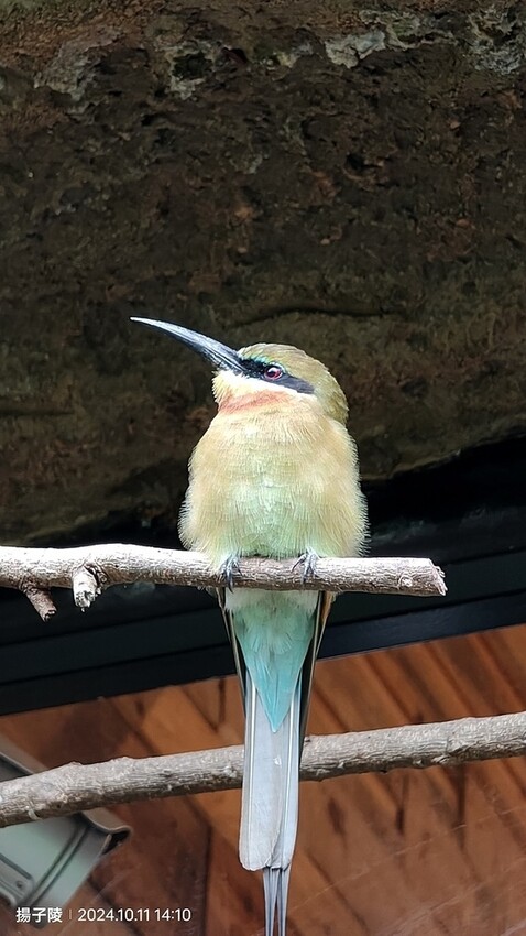 2024臺北市立動物園｜木柵動物園｜Taipei Zoo 臺