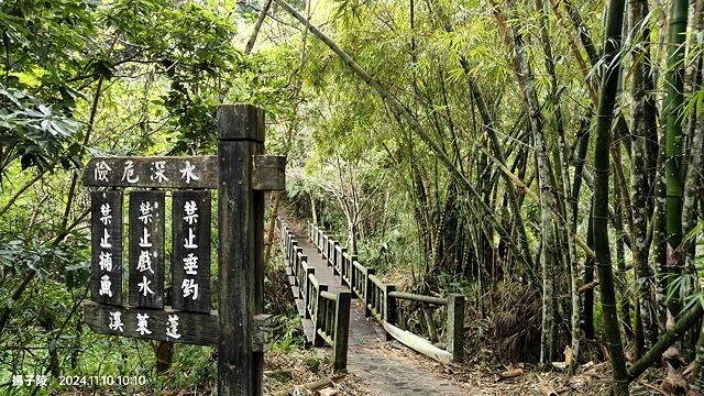 2024苗栗蓬萊溪護魚步道,天涼好個秋踏青趣|南庄老街➯桂花 2024苗栗蓬萊溪護魚步道,天涼好個秋踏青趣|南庄老街➯桂花