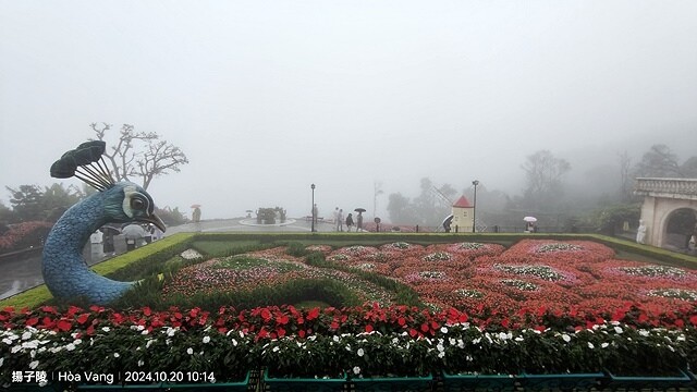 2024越南中越D4 會安➯📸巴拿山纜車|黃金佛手橋➯📸巴拿