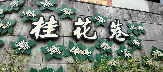 2024苗栗蓬萊溪護魚步道,天涼好個秋踏青趣|南庄老街➯桂花 2024苗栗蓬萊溪護魚步道,天涼好個秋踏青趣|南庄老街➯桂花