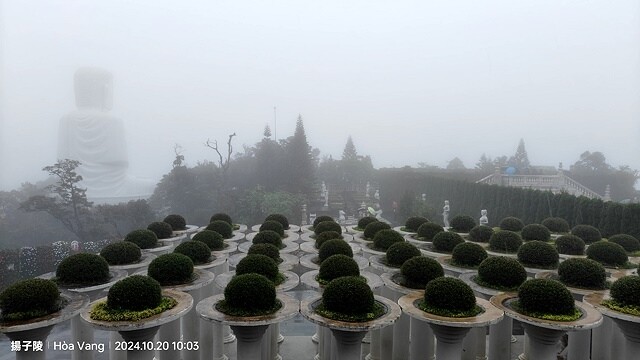 2024越南中越D4 會安➯📸巴拿山纜車|黃金佛手橋➯📸巴拿