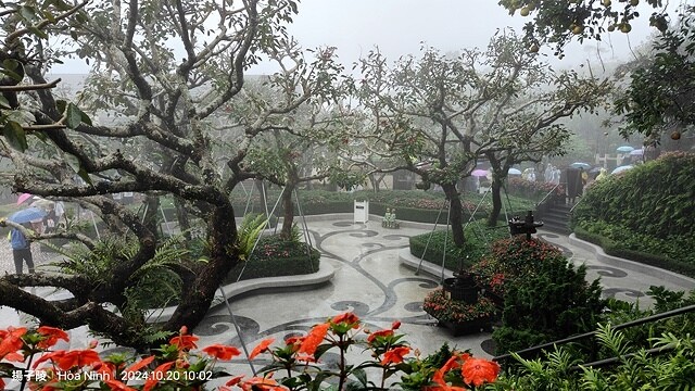 2024越南中越D4 會安➯📸巴拿山纜車|黃金佛手橋➯📸巴拿