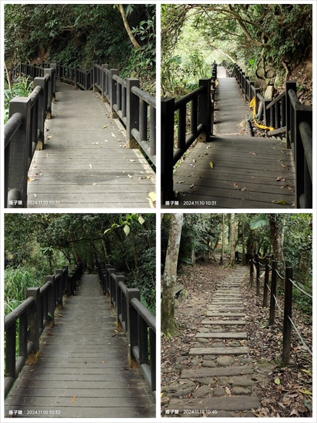 2024苗栗蓬萊溪護魚步道,天涼好個秋踏青趣|南庄老街➯桂花 2024苗栗蓬萊溪護魚步道,天涼好個秋踏青趣|南庄老街➯桂花