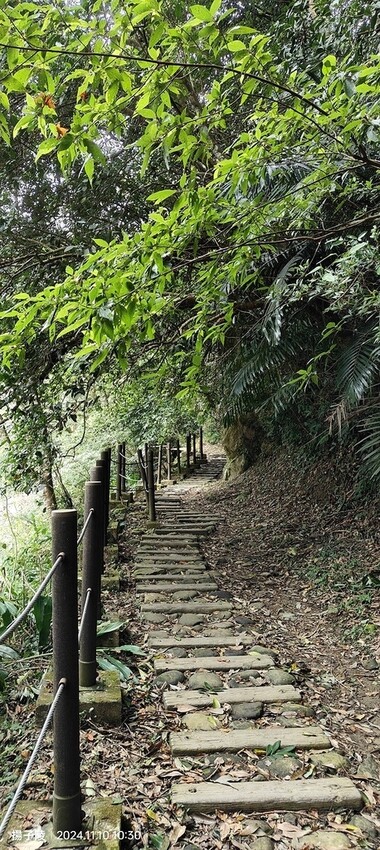 2024苗栗蓬萊溪護魚步道,天涼好個秋踏青趣|南庄老街➯桂花 2024苗栗蓬萊溪護魚步道,天涼好個秋踏青趣|南庄老街➯桂花