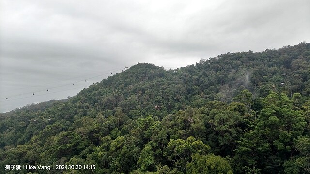 2024越南中越D4 會安➯📸巴拿山纜車|黃金佛手橋➯📸巴拿