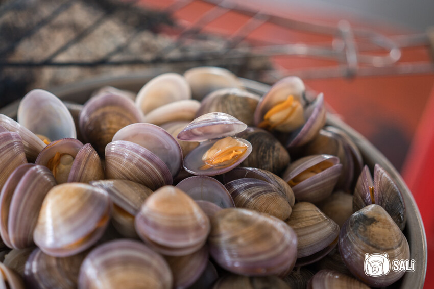 2024乘著海風一起去旅行 – 海想遇見你｜雲嘉海線私房景點、漁村體驗 - 莎笠，小日子