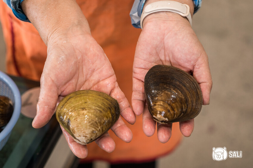 2024乘著海風一起去旅行 – 海想遇見你｜雲嘉海線私房景點、漁村體驗 - 莎笠，小日子