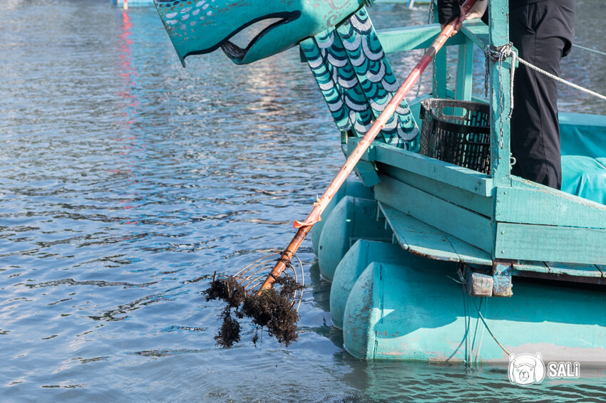 2024乘著海風一起去旅行 – 海想遇見你｜雲嘉海線私房景點、漁村體驗 - 莎笠，小日子