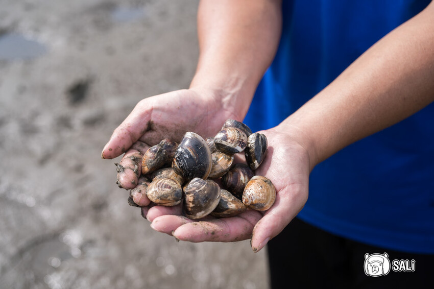 2024乘著海風一起去旅行 – 海想遇見你｜雲嘉海線私房景點、漁村體驗 - 莎笠，小日子