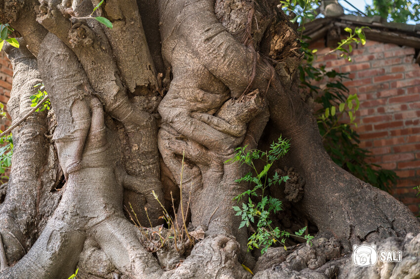 2024乘著海風一起去旅行 – 海想遇見你｜雲嘉海線私房景點、漁村體驗 - 莎笠，小日子