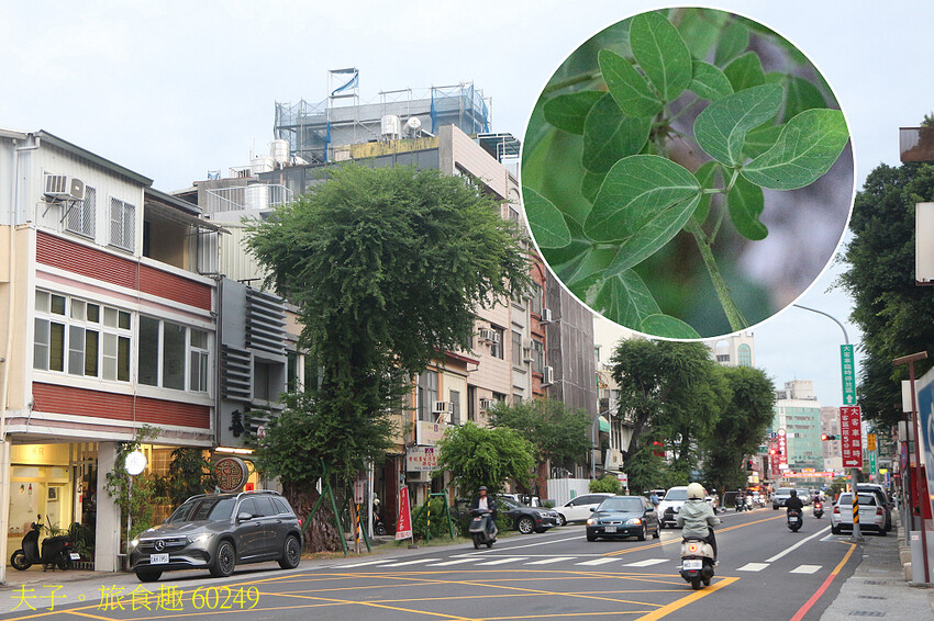 台南市立博物館 五大亮點 深入了解明鄭文化史