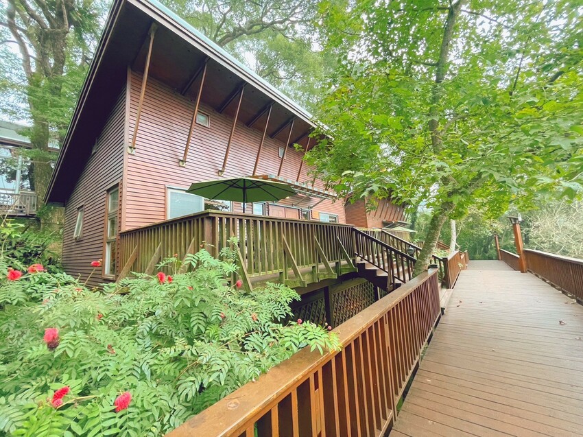 南投縣鹿谷鄉南投縣鹿谷鄉森語慢步的心靈旅途｜南投鹿谷鳳凰‧森之鳴 超寬敞綠建築木屋、一泊二食玻璃霧屋與夜間生態導覽。