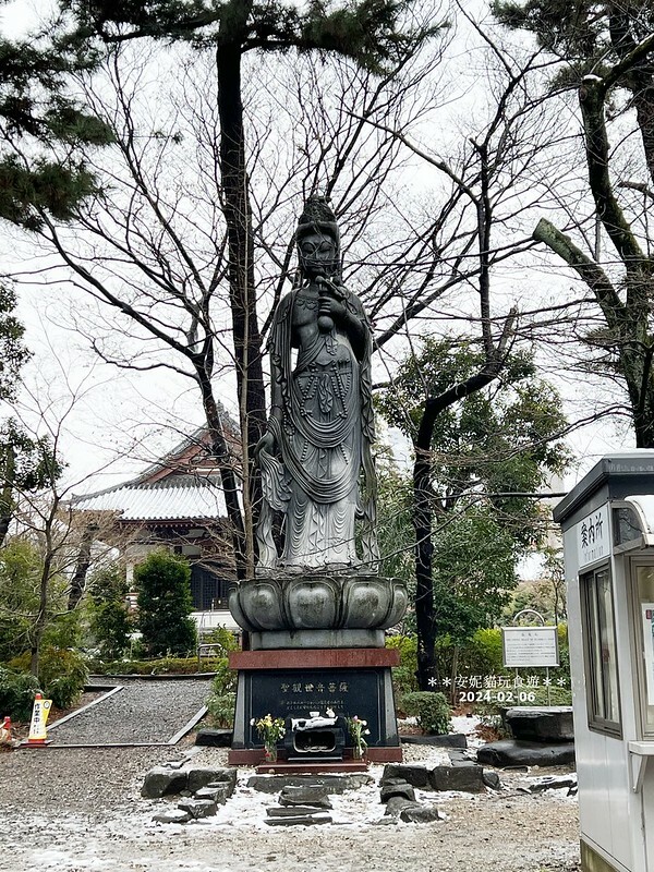 日本【2024日本關東北陸滑雪之旅】與東京鐵塔相呼應｜德川幕府將軍的長眠地．增上寺