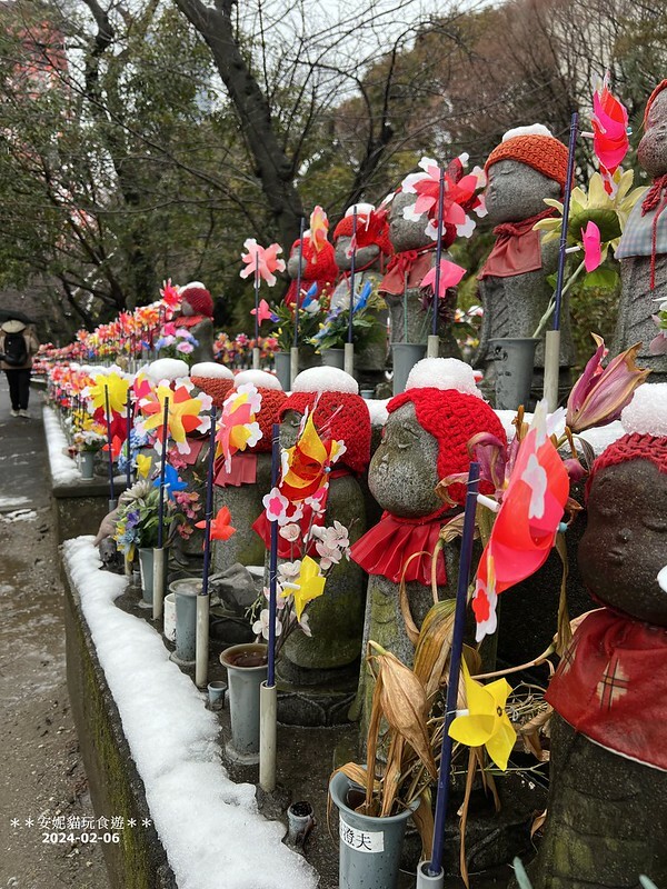 日本【2024日本關東北陸滑雪之旅】與東京鐵塔相呼應｜德川幕府將軍的長眠地．增上寺