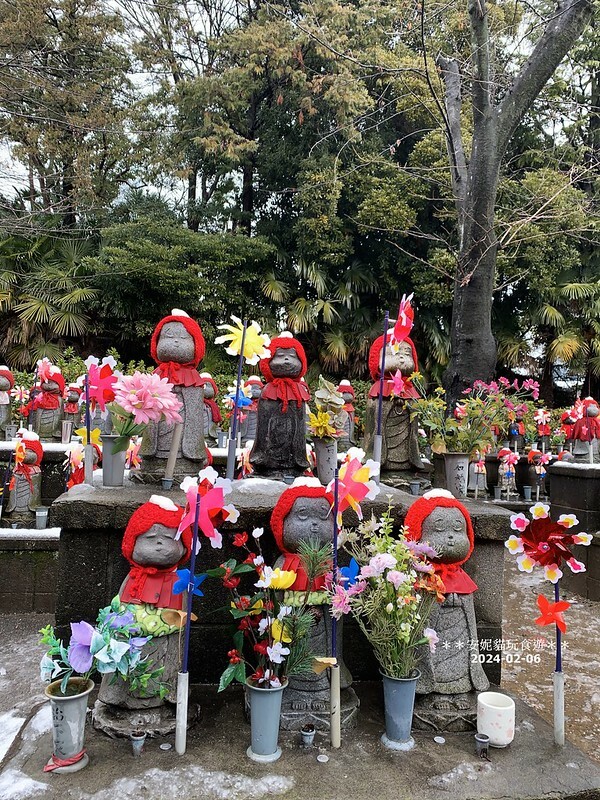 日本【2024日本關東北陸滑雪之旅】與東京鐵塔相呼應｜德川幕府將軍的長眠地．增上寺