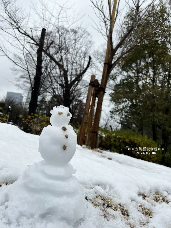 日本【2024日本關東北陸滑雪之旅】與東京鐵塔相呼應｜德川幕府將軍的長眠地．增上寺