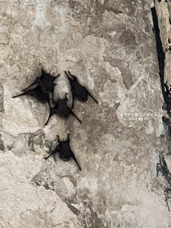 泰國大城柴瓦塔那蘭寺必去！泰劇《天生一對》取景地 高棉文化遺產。