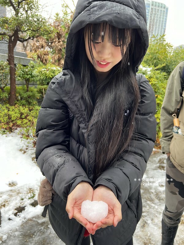 日本【2024日本關東北陸滑雪之旅】與東京鐵塔相呼應｜德川幕府將軍的長眠地．增上寺