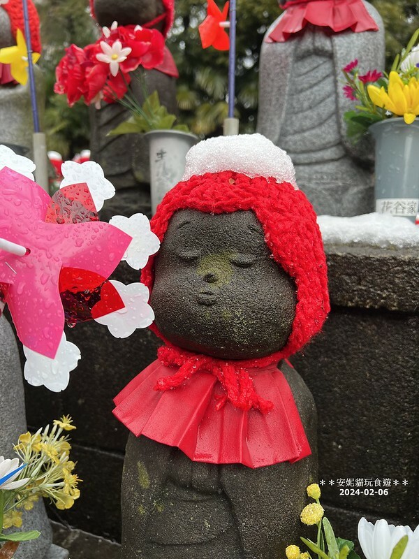 日本【2024日本關東北陸滑雪之旅】與東京鐵塔相呼應｜德川幕府將軍的長眠地．增上寺