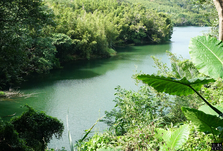 【寶山步道】寶山水庫環湖步道,寶湖,碧湖吊橋,o型走一圈! 【寶山步道】寶山水庫環湖步道,寶湖,碧湖吊橋,o型走一圈!