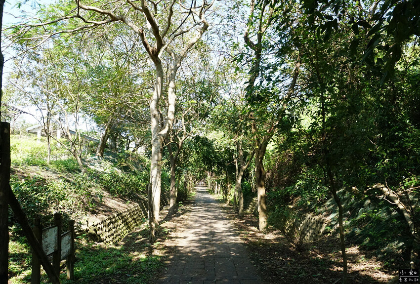 【苗栗景點】功維敘隧道,心想事成大車票,隧道燈光秀,懷舊火車