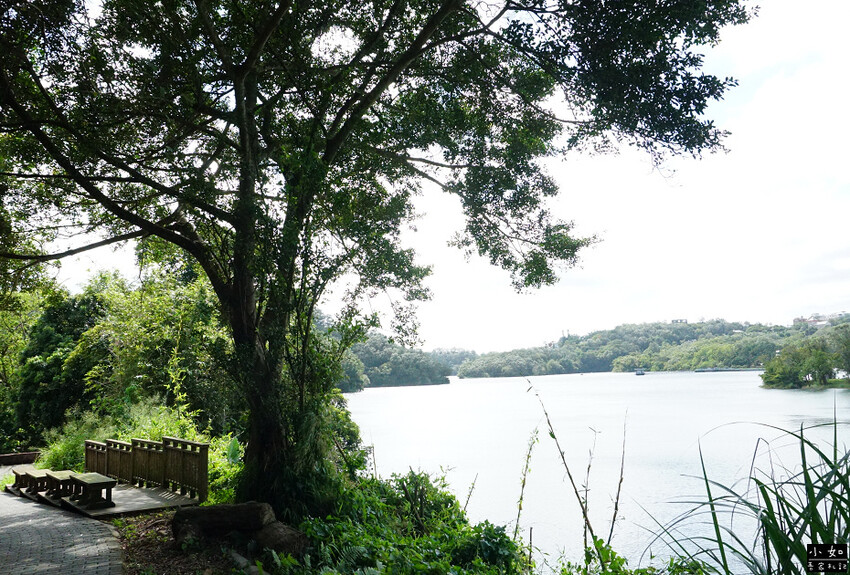 【寶山步道】寶山水庫環湖步道,寶湖,碧湖吊橋,o型走一圈! 【寶山步道】寶山水庫環湖步道,寶湖,碧湖吊橋,o型走一圈!