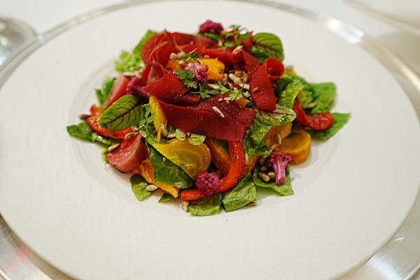 【東歐 捷克 斯洛伐克 匈牙利 奧地利 德國】33天 自助旅