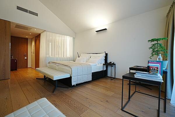 【捷克 斯洛伐克 匈牙利 奧地利 德國】33天 自助旅行 自