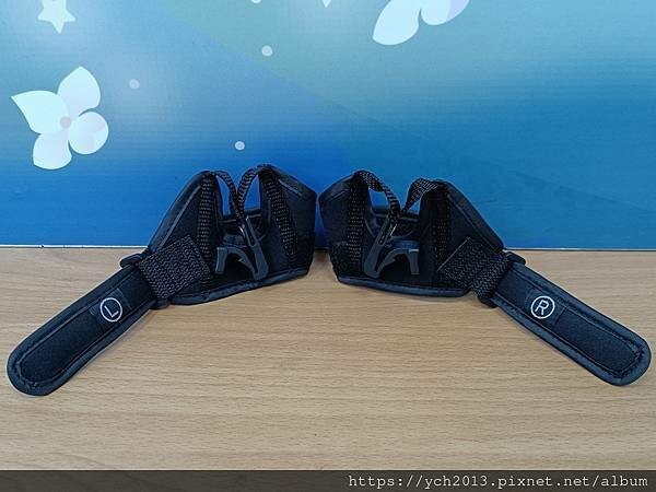 ProPACER健走杖開箱/有輪子的健走杖/健走、登山必備/ ProPACER健走杖開箱/有輪子的健走杖/健走、登山必備/