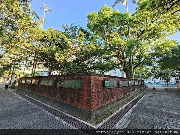 宜蘭九芎城 宜蘭九芎城