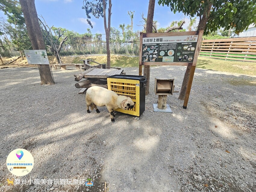 嘉義動物樂園首選!近距離餵食羊駝、水豚君,挑戰極限遊樂設施超好玩。