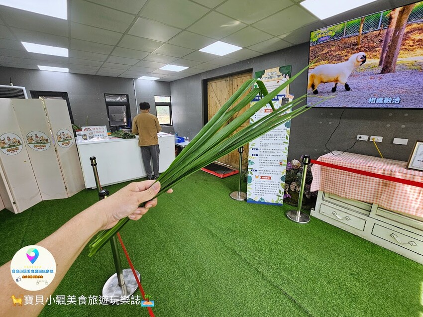 嘉義動物樂園首選!近距離餵食羊駝、水豚君,挑戰極限遊樂設施超好玩。